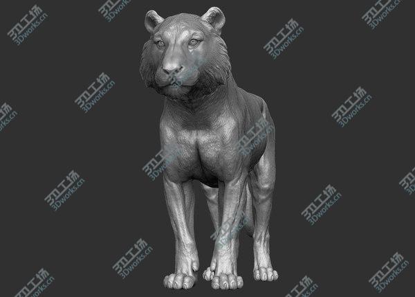 images/goods_img/20210312/3D Tiger model/3.jpg